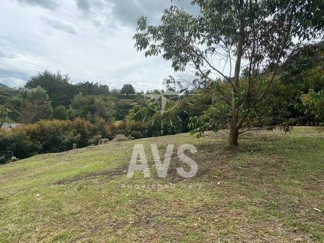 Terreno para Venta en La Ceja - 2