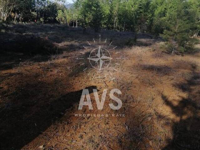 Terreno para Venta en Rionegro - 2