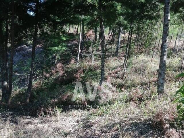 Terreno para Venta en Rionegro - 4