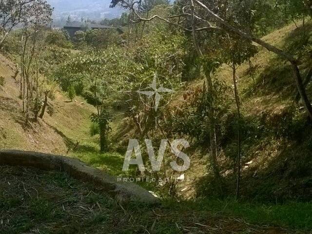 Terreno para Venta en Rionegro - 3