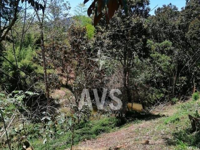 Terreno para Venta en Rionegro - 5