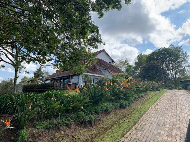 Finca para Venta en Rionegro - 4