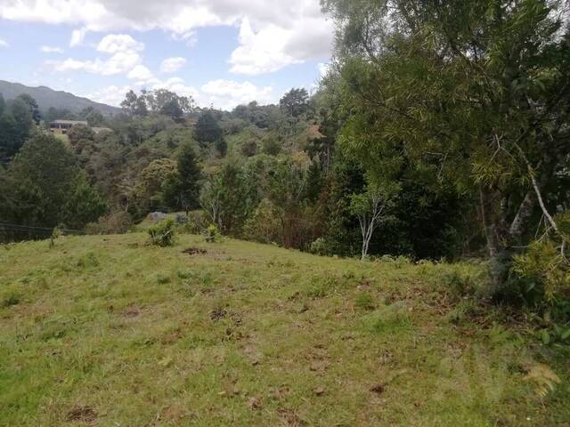 Terreno para Venta en Retiro - 4