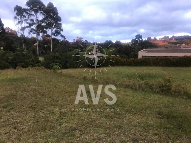 Venta en Alto Palmas - Envigado