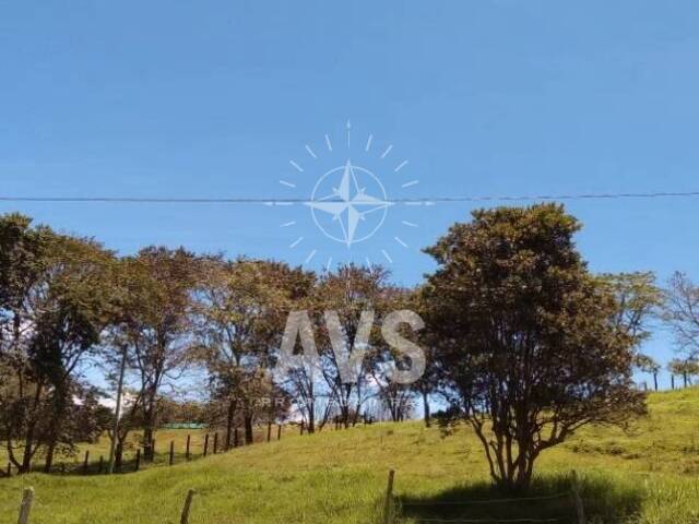 Terreno para Venta en Rionegro - 4