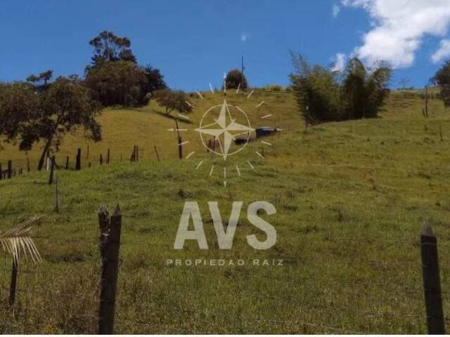 Terreno para Venta en Rionegro - 2