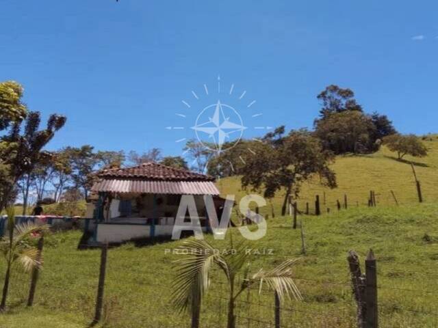 Terreno para Venta en Rionegro - 3