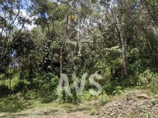 Terreno para Venta en Guarne - 5