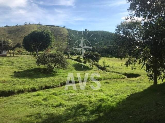 #3302 - Finca para Venta en Marinilla - ANT - 3