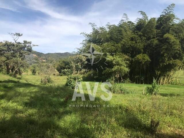 #3302 - Finca para Venta en Marinilla - ANT - 2