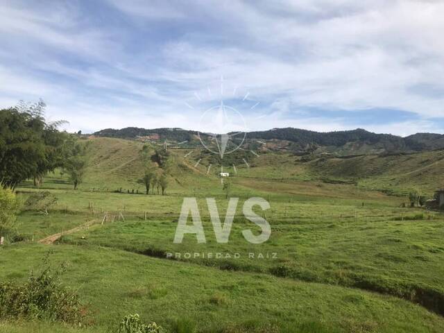 #3302 - Finca para Venta en Marinilla - ANT - 1