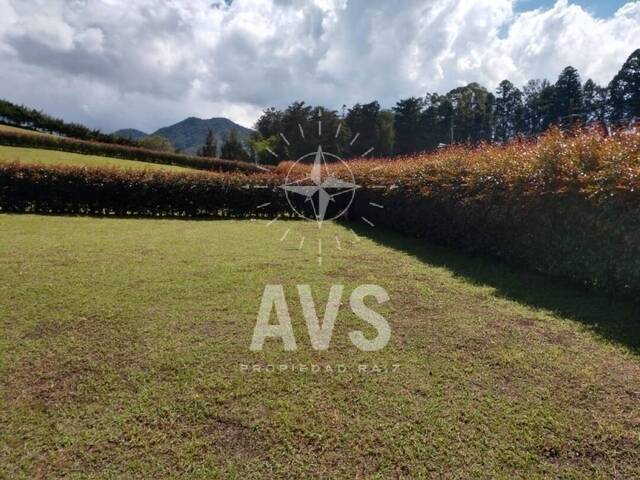 Terreno para Venta en Carmen de Viboral - 4