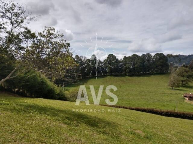 Terreno para Venta en Carmen de Viboral - 5