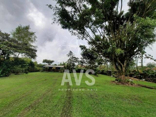Terreno para Venta en Rionegro - 4