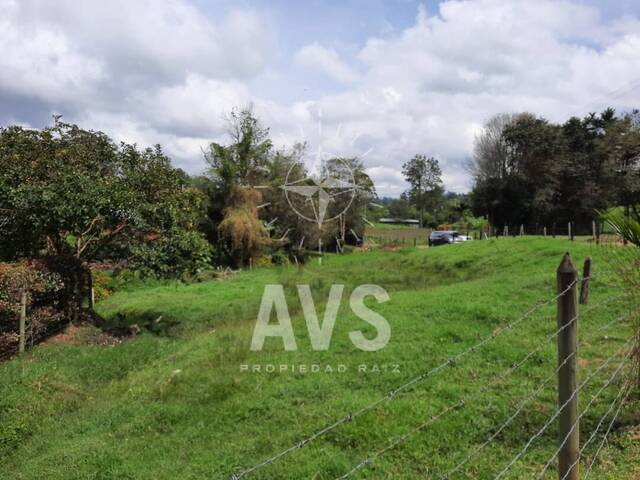 Terreno para Venta en Rionegro - 5