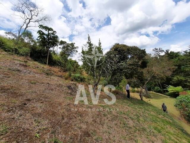 #3311 - Terreno para Venta en Carmen de Viboral - ANT - 3