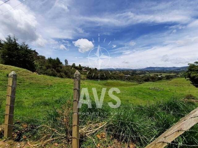 #3130 - Terreno para Venta en Rionegro - ANT - 2