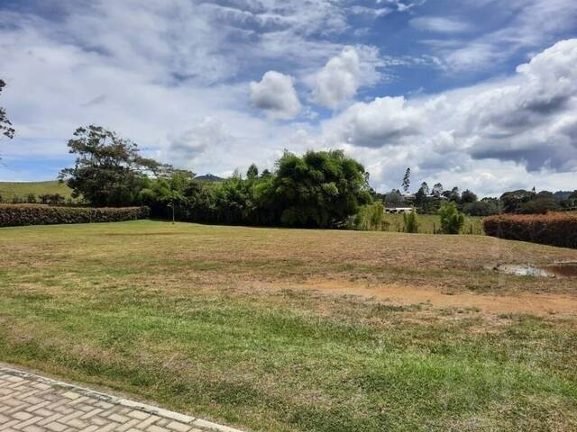 Terreno para Venta en Rionegro - 5