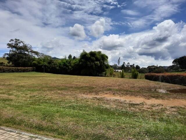 #1293 - Terreno para Venta en Rionegro - ANT - 1