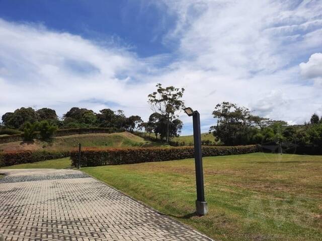 #1293 - Terreno para Venta en Rionegro - ANT - 2