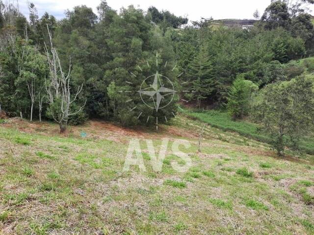 #3350 - Terreno para Venta en Carmen de Viboral - ANT - 3