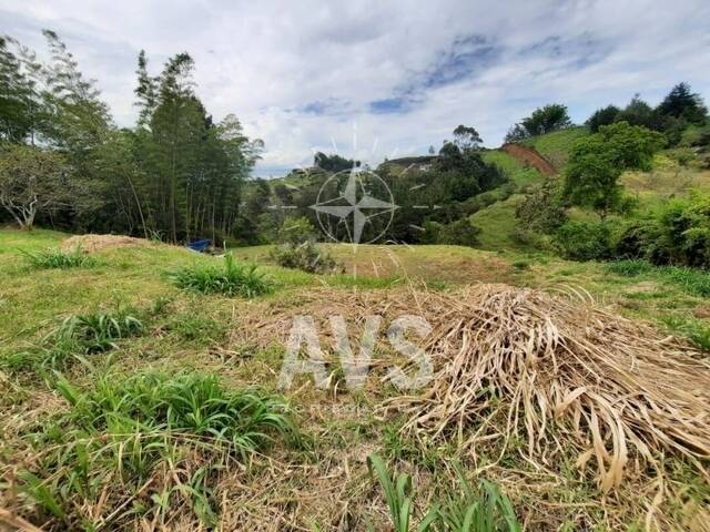 Terreno para Venta en Carmen de Viboral - 5