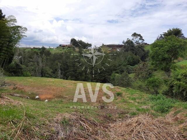Terreno para Venta en Carmen de Viboral - 4