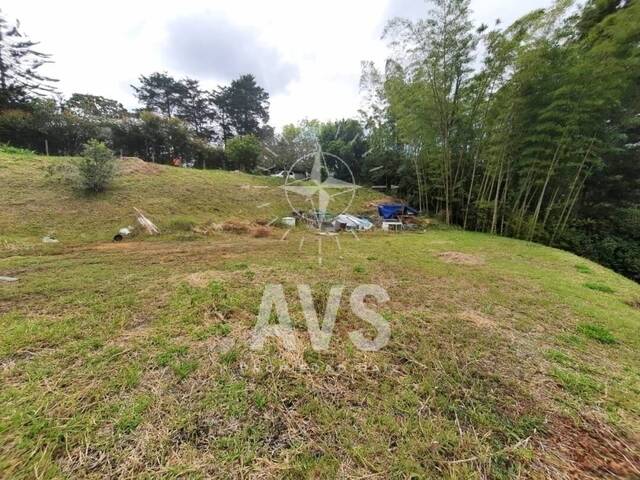 #3350 - Terreno para Venta en Carmen de Viboral - ANT - 1