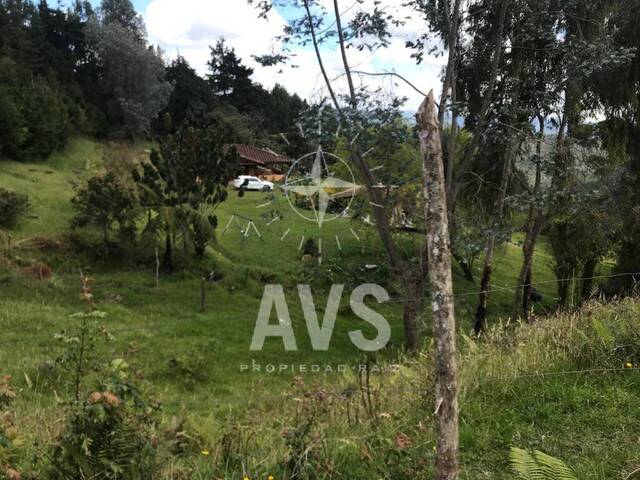 #3390 - Terreno para Venta en Rionegro - ANT - 3