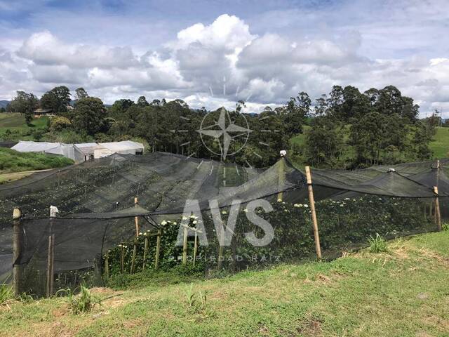 Finca para Venta en Rionegro - 5