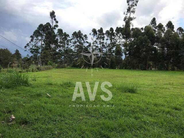 Terreno para Venta en Rionegro - 4