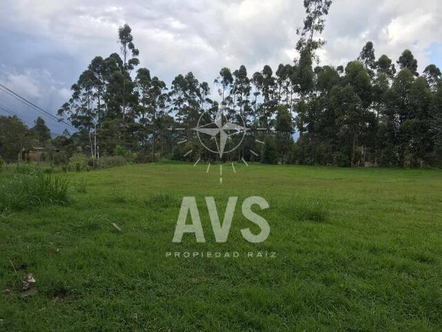Terreno para Venta en Rionegro - 5