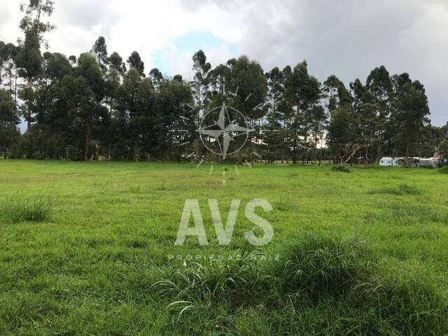 #3410 - Terreno para Venta en Rionegro - ANT - 1