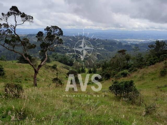 Terreno para Venta en Rionegro - 4