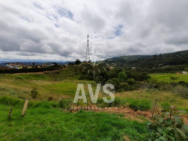 Terreno para Venta en Rionegro - 5