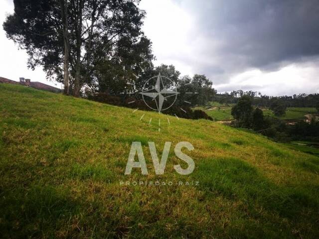 Terreno para Venta en Envigado - 4