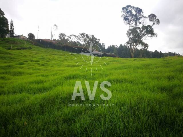 #3451 - Terreno para Venta en Envigado - ANT - 1