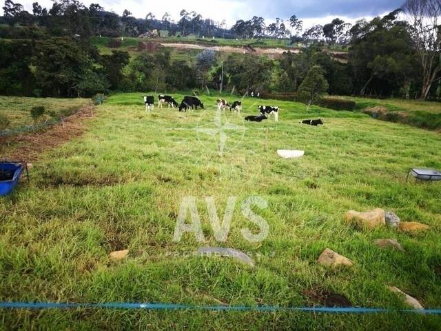 Venta en Sector la Acuarela - Envigado