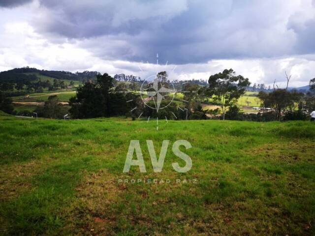 Terreno para Venta en Envigado - 4