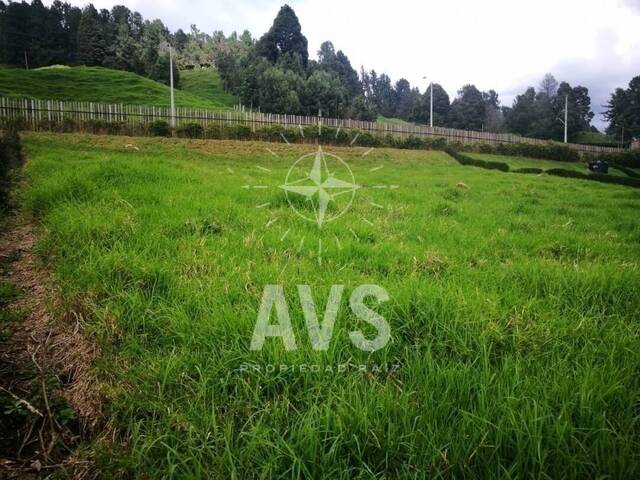 Terreno para Venta en Envigado - 5