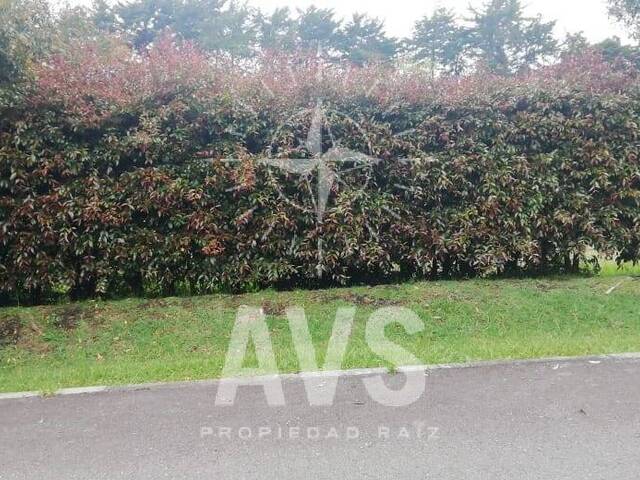 Terreno para Venta en Envigado - 4