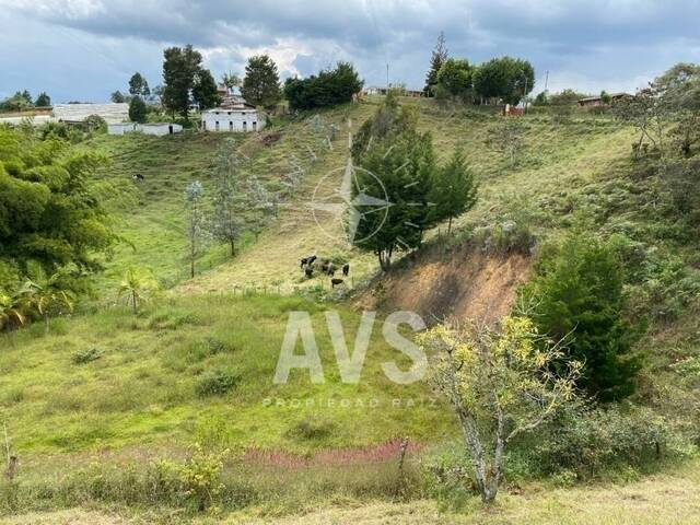 #3466 - Terreno para Venta en San Vicente - ANT - 1