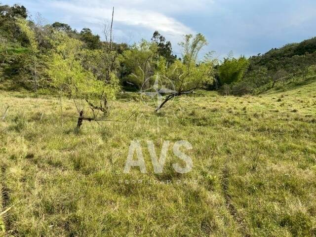 Terreno para Venta en San Vicente - 4
