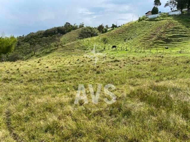 Terreno para Venta en San Vicente - 5