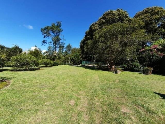 Terreno para Venta en Rionegro - 3