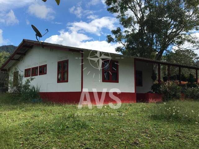 Finca para Venta en Carmen de Viboral - 4