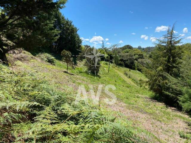 Terreno para Venta en Rionegro - 2