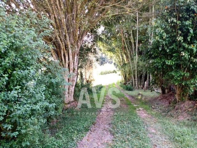 Terreno para Venta en Rionegro - 5