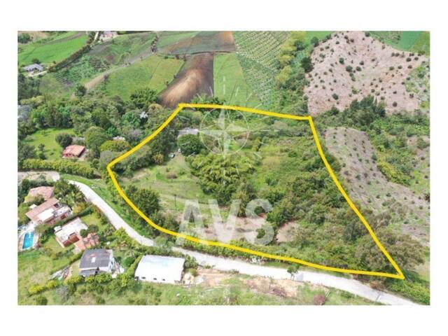 Terreno para Venta en Rionegro - 4