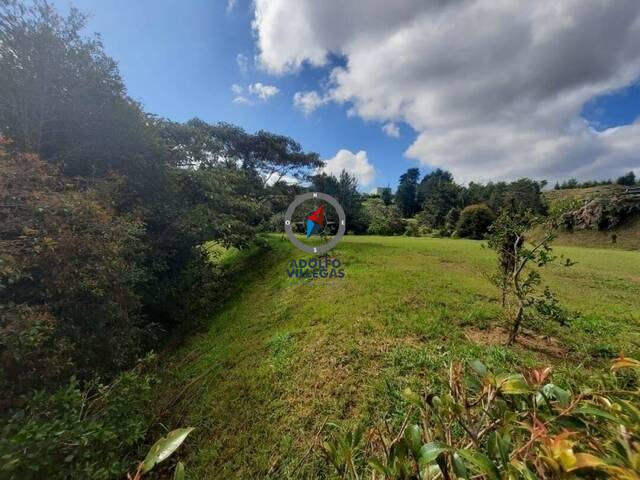 #3486 - Terreno para Venta en Rionegro - ANT - 2